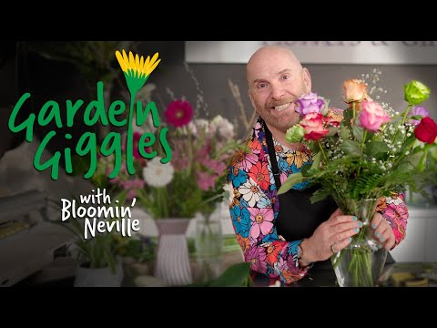 Finest Flowers For Allergies: Safe & Lovely Choices At
